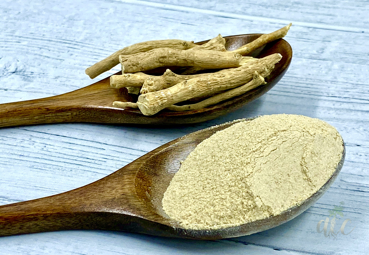 Ashwagandha root powder and roots on wooden spoons, milled to order by Anil Trading Company, Neemuch