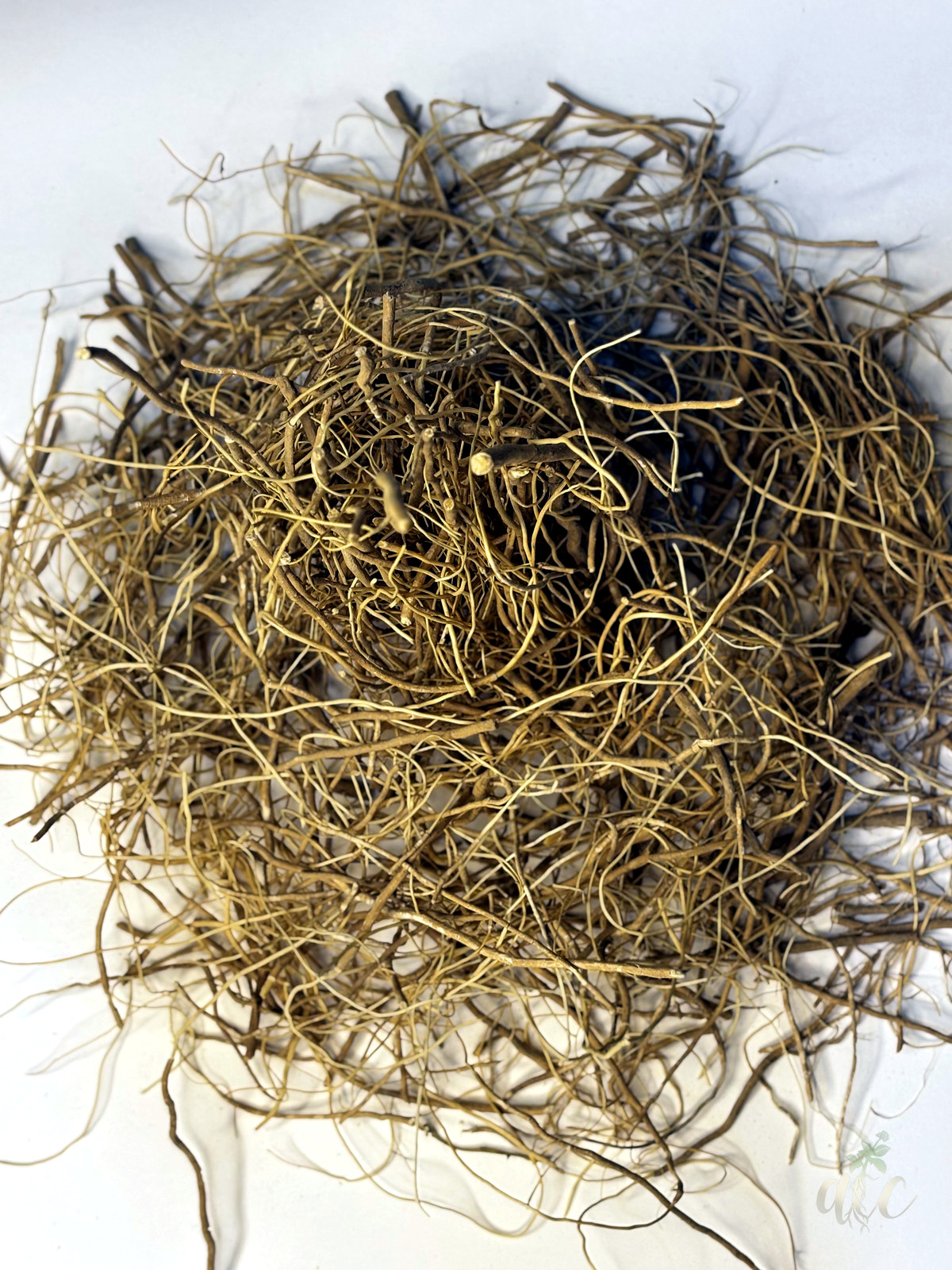 Ashwagandha Tar — thin root strands from Anil Trading Company, Neemuch